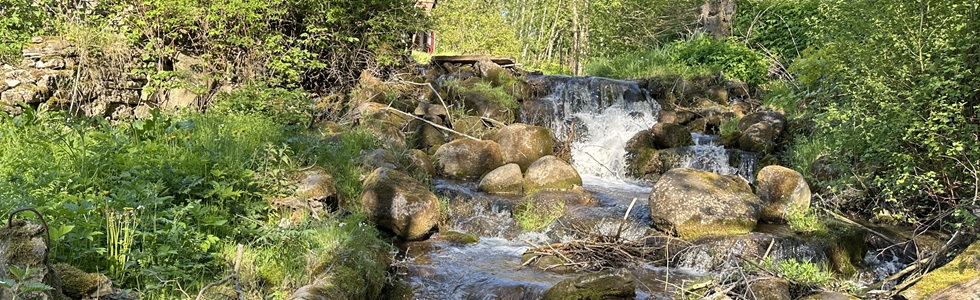 Ålleberg
