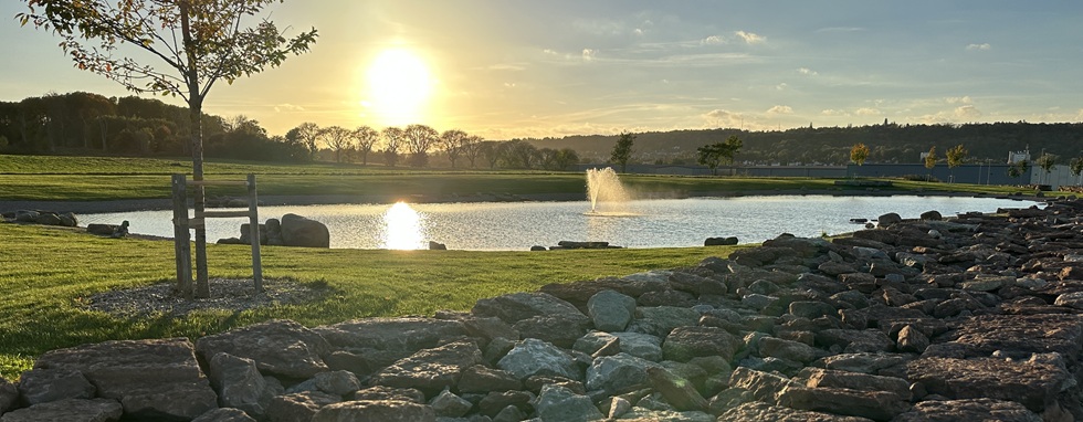 Ålleberg