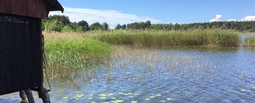 Ålleberg