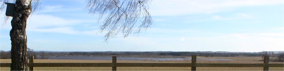 Ålleberg