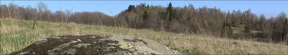 Ålleberg